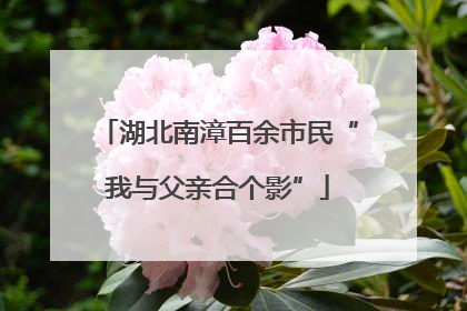 湖北南漳百余市民“我与父亲合个影”