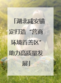 湖北咸安锚定打造“营商环境首善区”助力高质量发展