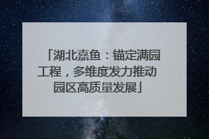 湖北嘉鱼：锚定满园工程，多维度发力推动园区高质量发展