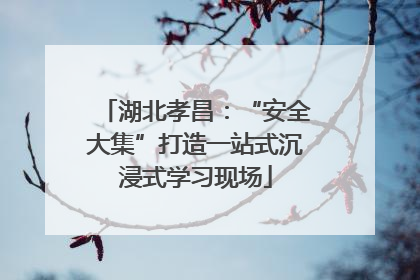 湖北孝昌：“安全大集”打造一站式沉浸式学习现场
