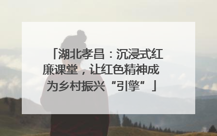 湖北孝昌：沉浸式红廉课堂，让红色精神成为乡村振兴“引擎”