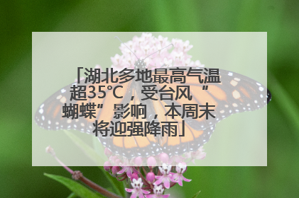 湖北多地最高气温超35℃，受台风“蝴蝶”影响，本周末将迎强降雨
