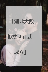 湖北大数据集团正式成立