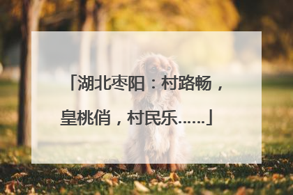 湖北枣阳：村路畅，皇桃俏，村民乐……