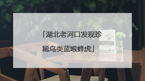 湖北老河口发现珍稀鸟类蓝喉蜂虎