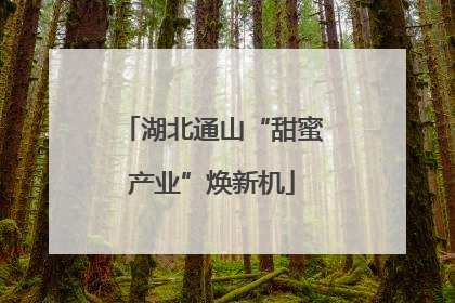 湖北通山“甜蜜产业”焕新机