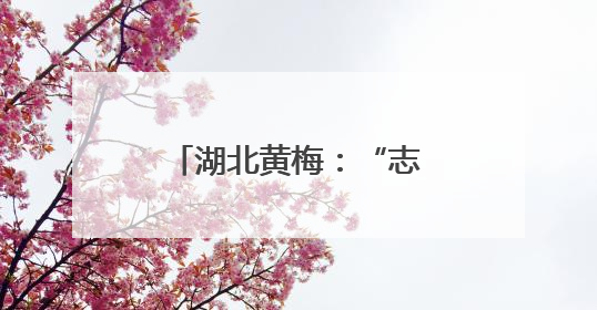 湖北黄梅：“志愿红”点亮社会服务的温暖之光