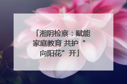 湘阴检察：赋能家庭教育 共护“向阳花”开