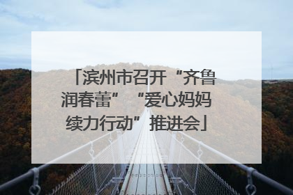 滨州市召开“齐鲁润春蕾”“爱心妈妈续力行动”推进会