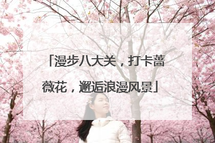 漫步八大关，打卡蔷薇花，邂逅浪漫风景