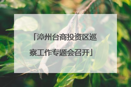 漳州台商投资区巡察工作专题会召开