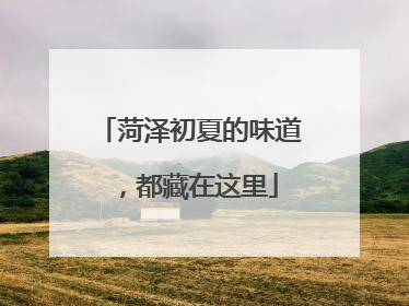 菏泽初夏的味道，都藏在这里