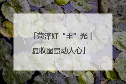 菏泽好“丰”光｜夏收图景动人心
