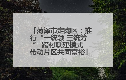 菏泽市定陶区：推行“一统领 三统筹” 跨村联建模式 带动片区共同富裕