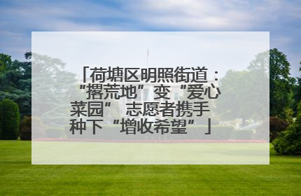荷塘区明照街道：“撂荒地”变“爱心菜园” 志愿者携手种下“增收希望”