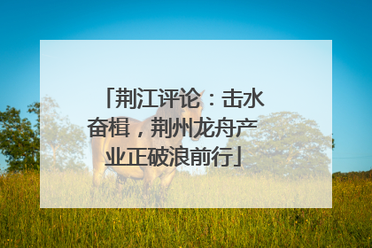 荆江评论：击水奋楫，荆州龙舟产业正破浪前行
