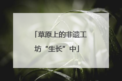 草原上的非遗工坊“生长”中