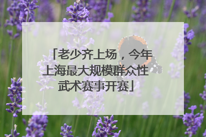老少齐上场，今年上海最大规模群众性武术赛事开赛