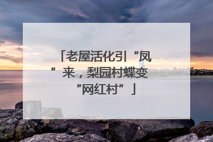 老屋活化引“凤”来，梨园村蝶变“网红村”