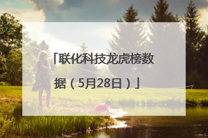 联化科技龙虎榜数据（5月28日）