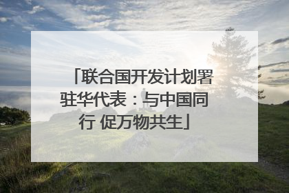 联合国开发计划署驻华代表：与中国同行 促万物共生