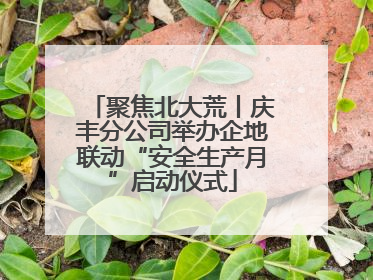 聚焦北大荒丨庆丰分公司举办企地联动“安全生产月”启动仪式
