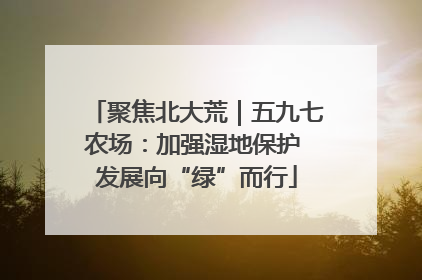 聚焦北大荒｜五九七农场：加强湿地保护 发展向“绿”而行