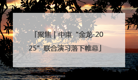 聚焦｜中柬“金龙-2025”联合演习落下帷幕