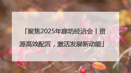 聚焦2025年廊坊经洽会丨资源高效配置，激活发展新动能