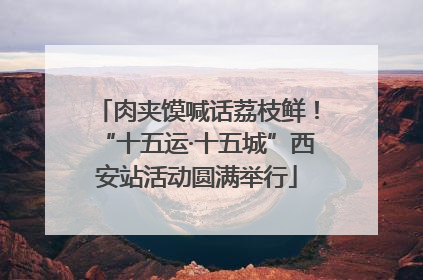 肉夹馍喊话荔枝鲜！“十五运·十五城”西安站活动圆满举行