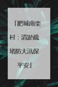 肥城南栾村：清淤疏堵防大汛保平安