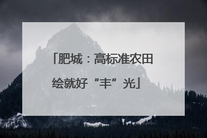 肥城：高标准农田绘就好“丰”光