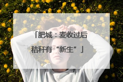 肥城：麦收过后秸秆有“新生”