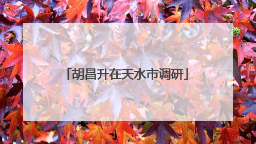 胡昌升在天水市调研
