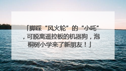 脚踩“风火轮”的“小吒”，可脱离遥控板的机器狗，泡桐树小学来了新朋友！