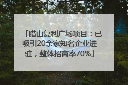 腊山复利广场项目：已吸引20余家知名企业进驻，整体招商率70%