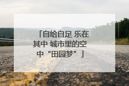 自给自足 乐在其中 城市里的空中“田园梦”