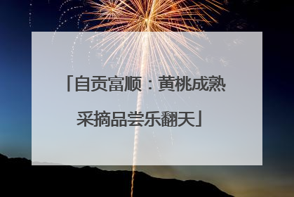 自贡富顺：黄桃成熟 采摘品尝乐翻天