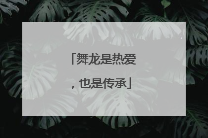舞龙是热爱，也是传承