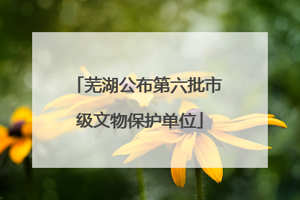 芜湖公布第六批市级文物保护单位