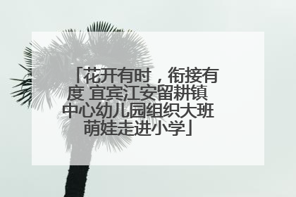 花开有时，衔接有度 宜宾江安留耕镇中心幼儿园组织大班萌娃走进小学