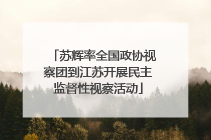 苏辉率全国政协视察团到江苏开展民主监督性视察活动