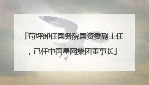 苟坪卸任国务院国资委副主任，已任中国星网集团董事长