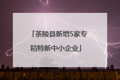 茶陵县新增5家专精特新中小企业