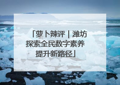 萝卜辣评｜潍坊探索全民数字素养提升新路径