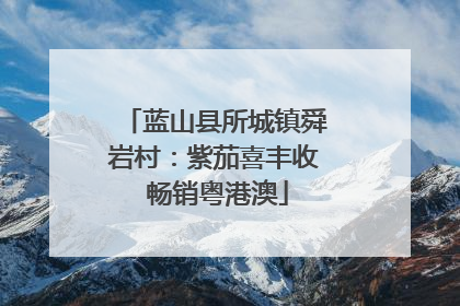 蓝山县所城镇舜岩村：紫茄喜丰收 畅销粤港澳