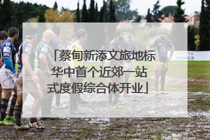 蔡甸新添文旅地标 华中首个近郊一站式度假综合体开业
