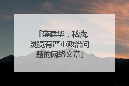 薛建华，私藏、浏览有严重政治问题的网络文章