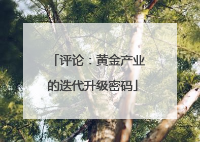评论：黄金产业的迭代升级密码