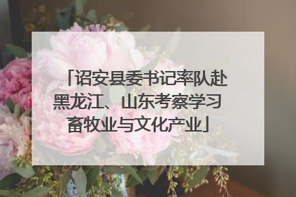 诏安县委书记率队赴黑龙江、山东考察学习畜牧业与文化产业